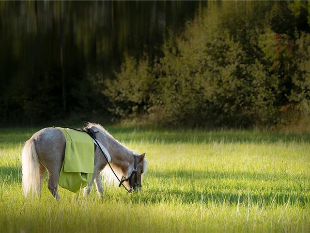 Wandeltochten